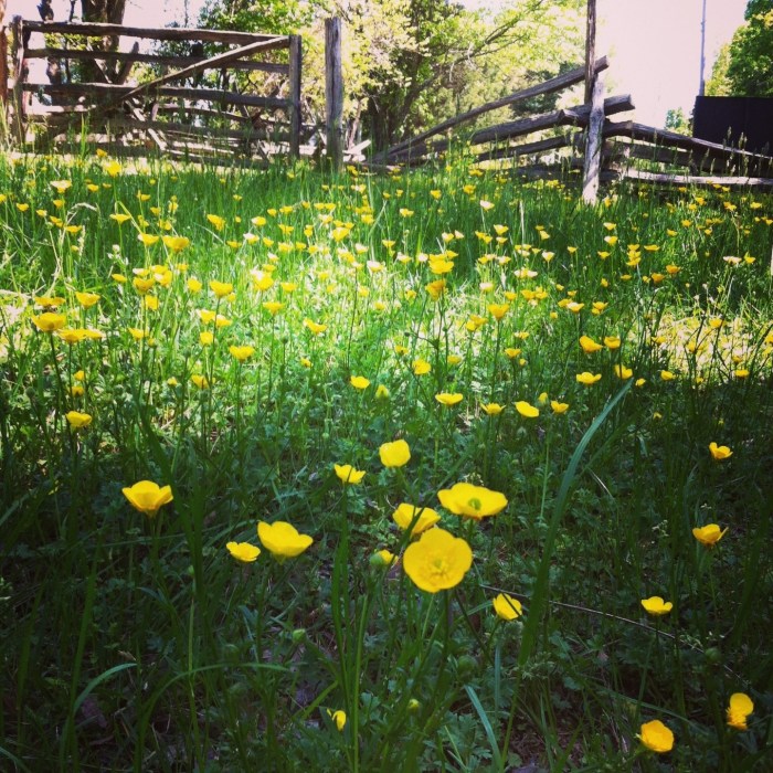 20130505-175723.jpg