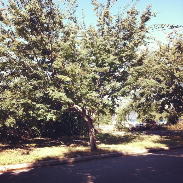 1617 First St. SW, Marvin Gaye's Family's First D.C. Home