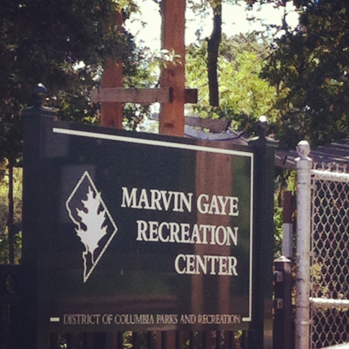 Marvin Gaye Recreation Center, DC