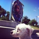 marvin gaye mosaic dc