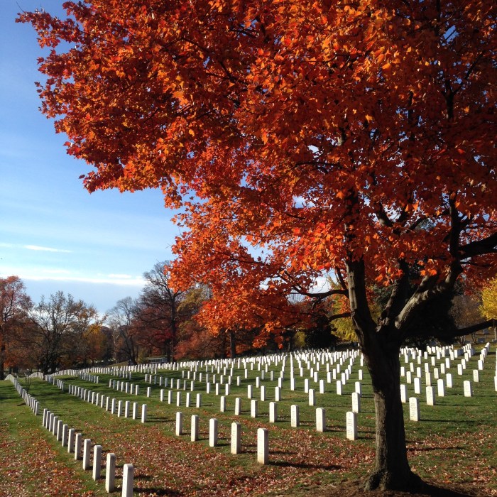 We visited Arlington National Cemetery on the anniversary of JFK's death