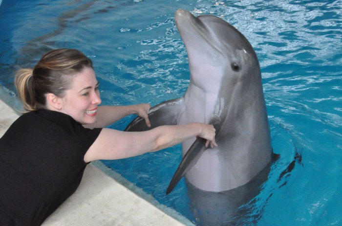 baltimore aquarium dolphin experience
