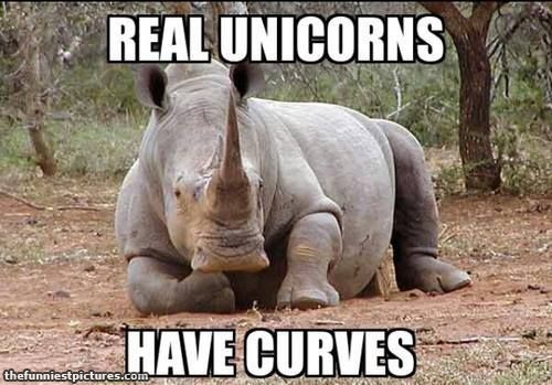 real-unicorns-have-curves