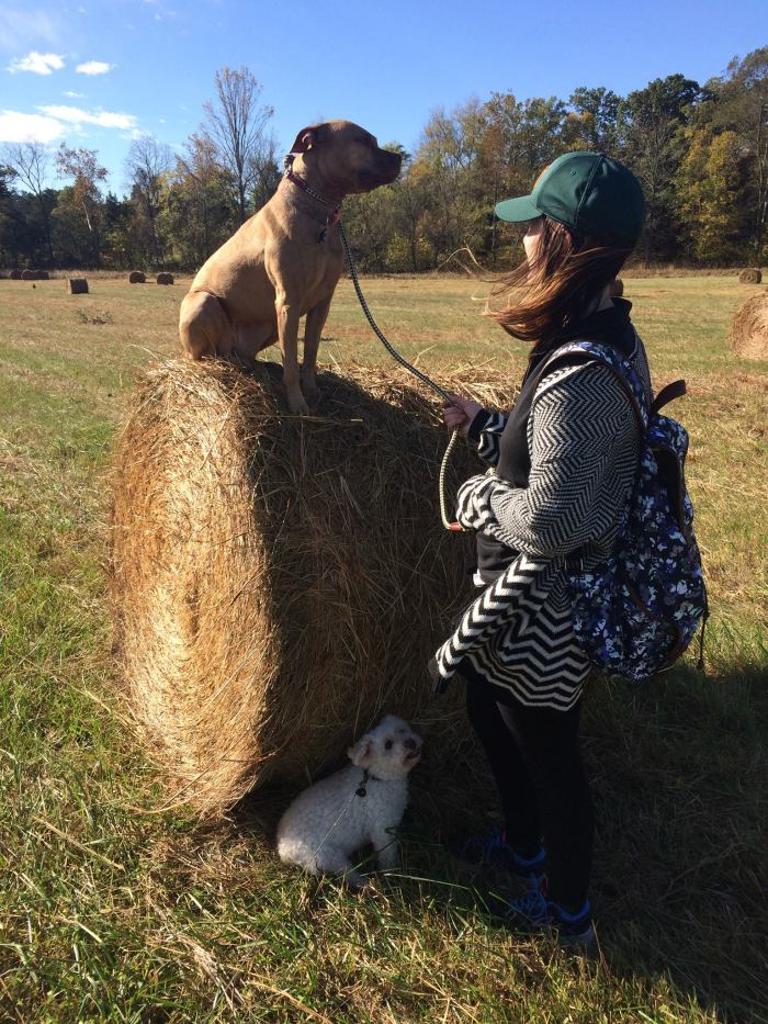 14715101_10105773946741922_7451542711621188236_o